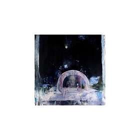 Daughter Not To Disappear LP