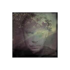 Delaney Davidson Shining Day LP
