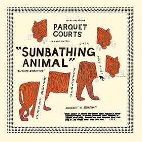 Parquet Courts Sunbathing Animal LP
