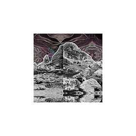 All Them Witches Dying Surfer Meets His Maker LP