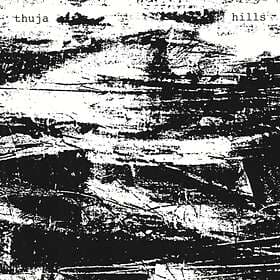 Thuja - Hills LP