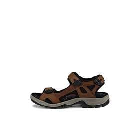 Ecco Offroad 069564 (Men's)