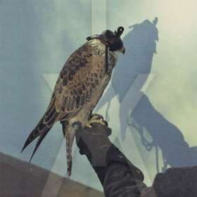 Iceage You're Nothing CD