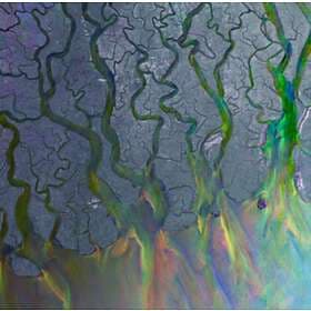 Alt-J An Awesome CD