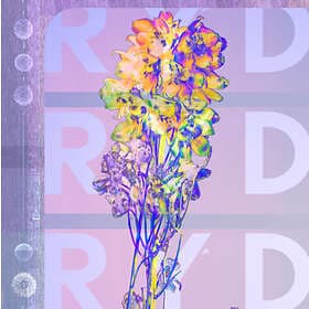Ryd - Ryd CD