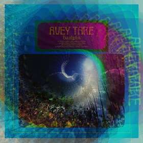 Avey Tare Eucalyptus LP