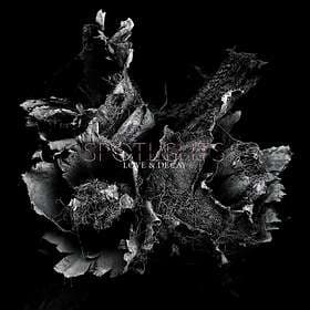 Spotlights & Decay LP
