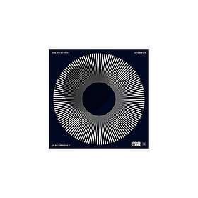 Sundara Youth Is Only Ever Fun In Retrospect LP