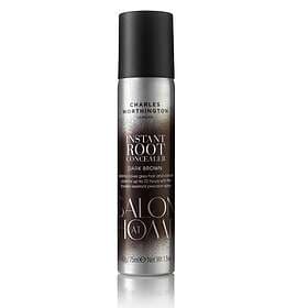 Charles Worthington Instant Root Concealer 75ml
