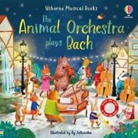 Sam Taplin: The Animal Orchestra Plays Bach