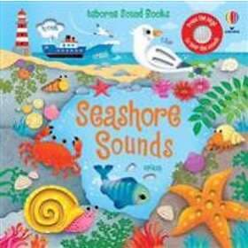 Sam Taplin: Seashore Sounds