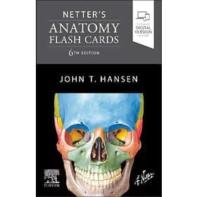 John T Hansen: Netter's Anatomy Flash Cards