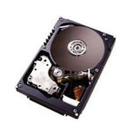 IBM 30R5097 73GB