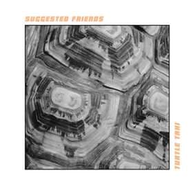 Suggested Turtle Taxi LP