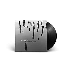 Kristin Hersh Possible Clouds LP