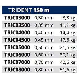 Tortue Trident Monofilament 150 M Durchsichtig 0.700 mm