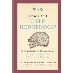 Helen Bostock, Sophie Collins: RHS How Can I Help Hedgehogs?