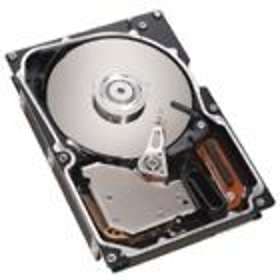 IBM 40K1044 146GB