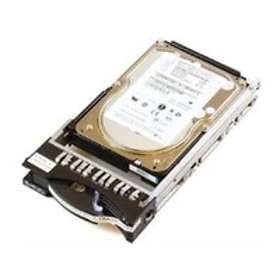 IBM 40K1023 73GB