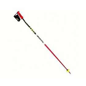 Leki WC Racing GS