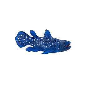 Mojo Coelacanths Fisk
