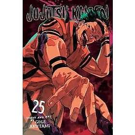 Jujutsu Kaisen, Vol. 25