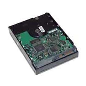 HP 349239-B21 250GB