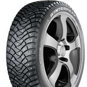 Falken Winterpeak F-Ice 1 225/45 R18 95T Dubbdäck
