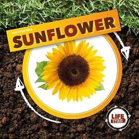 Life Cycle of a Sunflower av Kirsty Holmes