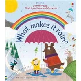 First Questions and Answers: What makes it rain?