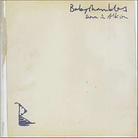 Babyshambles Down In LP