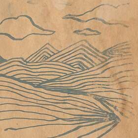 Wooden Wand - Farmer's Corner LP