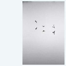 Kirk Barley Landscapes LP