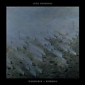 Beshevli Ilya: Wanderer Remixes LP
